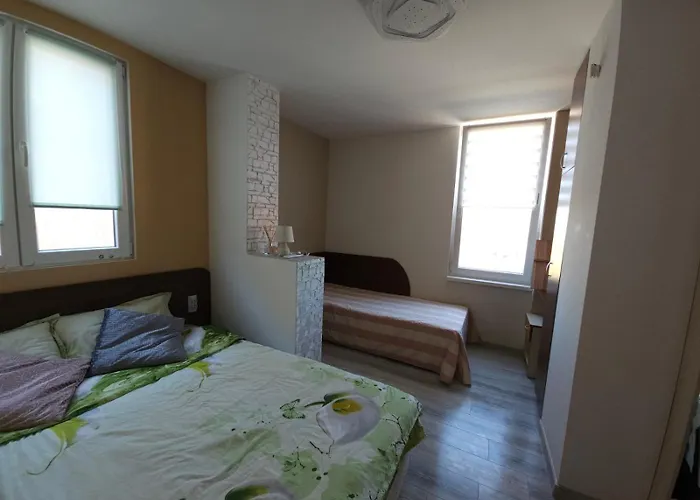 ани Черноморец